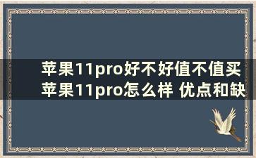 苹果11pro好不好值不值买 苹果11pro怎么样 优点和缺点